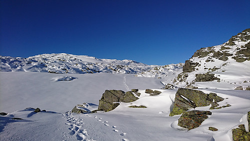 Sporene våre blir små i den mektige naturen