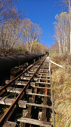 Trappene i Høyanger