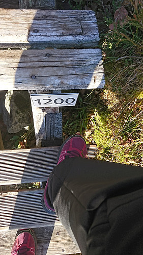 Trappene i Høyanger