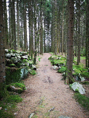 Søre Åsen