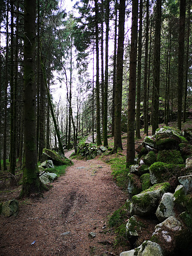 Søre Åsen
