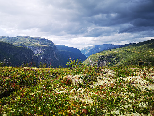 Utsikt fra Lambahaug