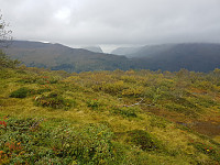 agnar_20200921_5f6893c2e3112.jpg