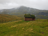 agnar_20200921_5f6893cf064ea.jpg
