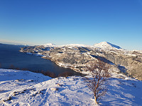 agnar_20210114_6000642743d1c.jpg