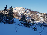 agnar_20210114_6000643f6cb26.jpg