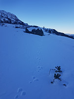 agnar_20210114_60006442851c2.jpg