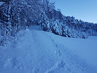 agnar_20210114_6000644a32678.jpg