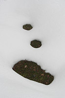FjellEggen_20150505_5548d62f2fa8b.jpg