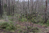 FjellEggen_20190108_5c34e1910b9c6.jpg