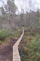 FjellEggen_20190108_5c34e1a1d93d9.jpg