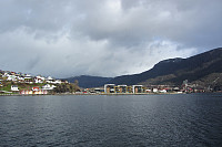 FjellEggen_20190115_5c3dc73364304.jpg