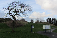 FjellEggen_20190115_5c3dd2ac7a242.jpg