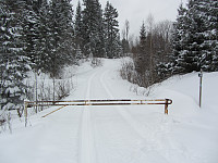 FjellEggen_20190129_5c508ce571f81.jpg