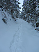 FjellEggen_20190129_5c508dd8d4a4b.jpg