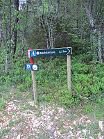 FjellEggen_20190205_5c59ad1bd49e6.jpg