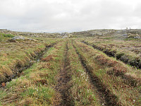 FjellEggen_20190205_5c59ad25bae77.jpg