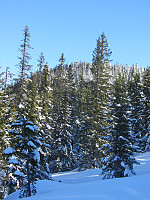 FjellEggen_20190327_5c9b1926b5847.jpg