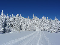 FjellEggen_20190327_5c9b1937cd369.jpg