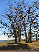 FjellEggen_20200221_5e4fbbe32c24c.jpg