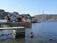 FjellEggen_20200226_5e561b4670cd8.jpg