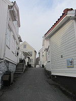 FjellEggen_20200229_5e5a3257771de.jpg