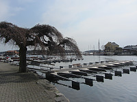 FjellEggen_20200229_5e5a4c4925e63.jpg
