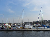 FjellEggen_20200229_5e5a7b8b1ea85.jpg