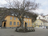 FjellEggen_20200304_5e6000170f55e.jpg