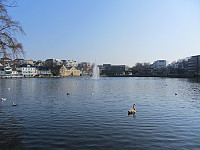 FjellEggen_20200310_5e6756cbe2835.jpg