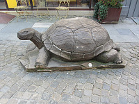 FjellEggen_20200310_5e675736687ee.jpg