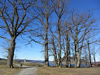 FjellEggen_20200324_5e7a698ce063d.jpg