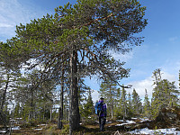 johanne_20190618_5d09314e70ac2.jpg