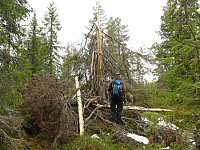 johanne_20190618_5d093c1e7b919.jpg