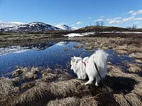 johanne_20190618_5d0943995f4ec.jpg