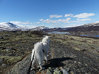 johanne_20190618_5d09439ced5f9.jpg