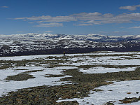 johanne_20190618_5d0943a0e19ef.jpg