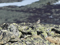 johanne_20190618_5d0943a965230.jpg