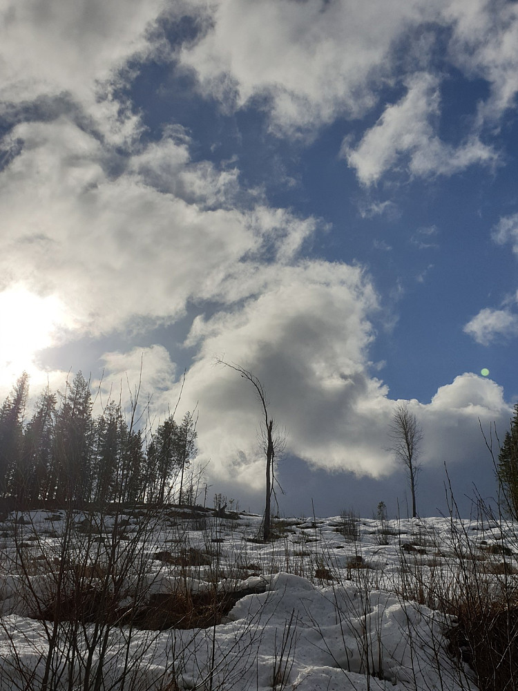 På vei opp fra veien Haugedalen-Renabakkene