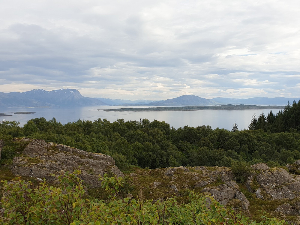Den flate øya; Ylvingen!