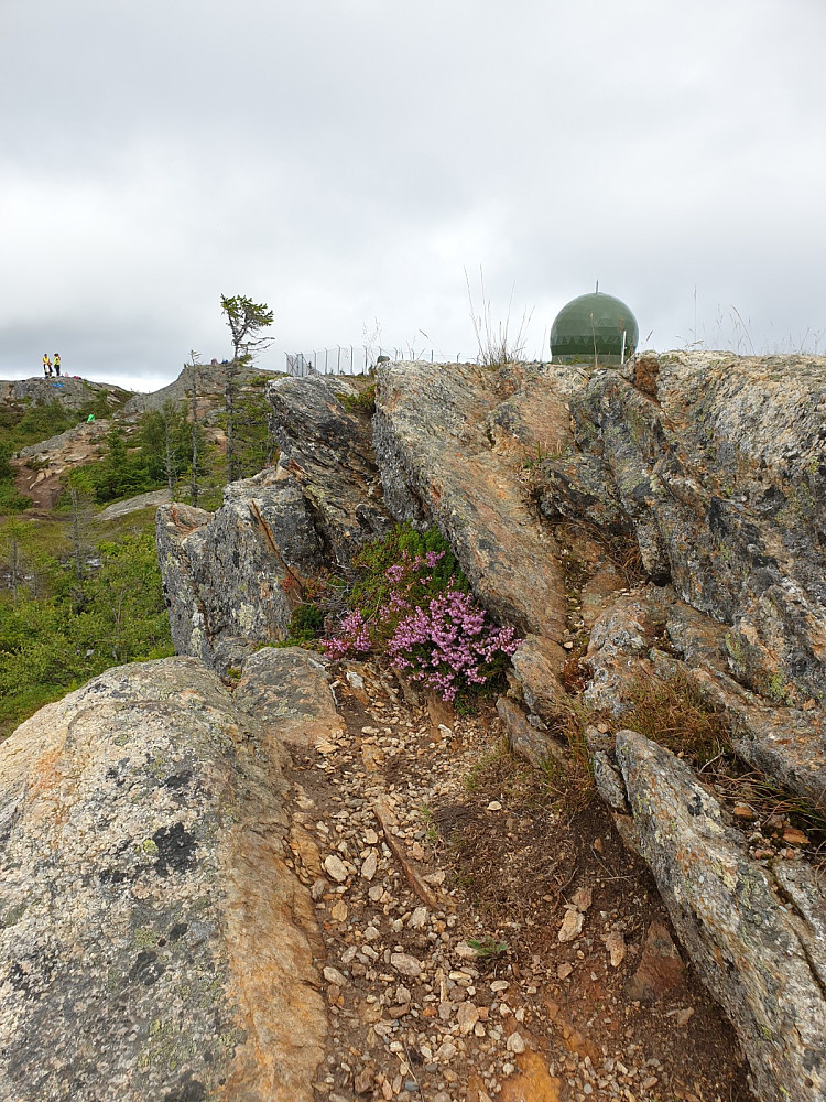 Den militære " kula" på toppen|centrr
[[image:johanne_20200806_5f2be45fc5a5e.jpg|Flott utsikt over Trondheim by