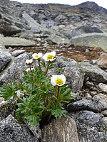 johanne_20200808_5f2e4b7563637.jpg