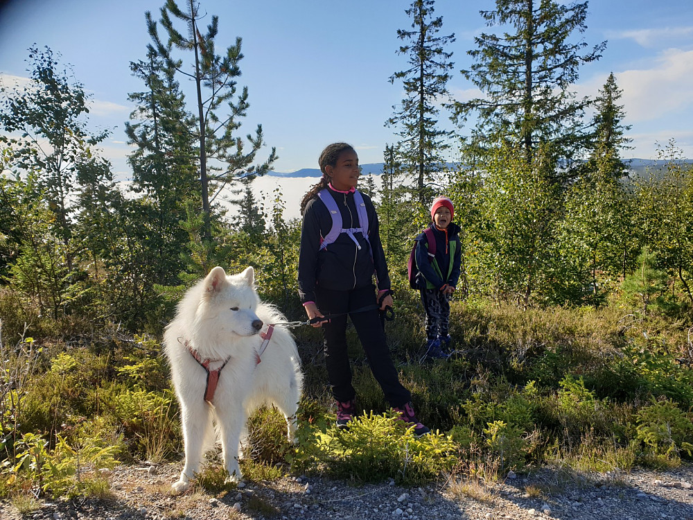 Utgangspunktet er Digeråsen, - over tåka!