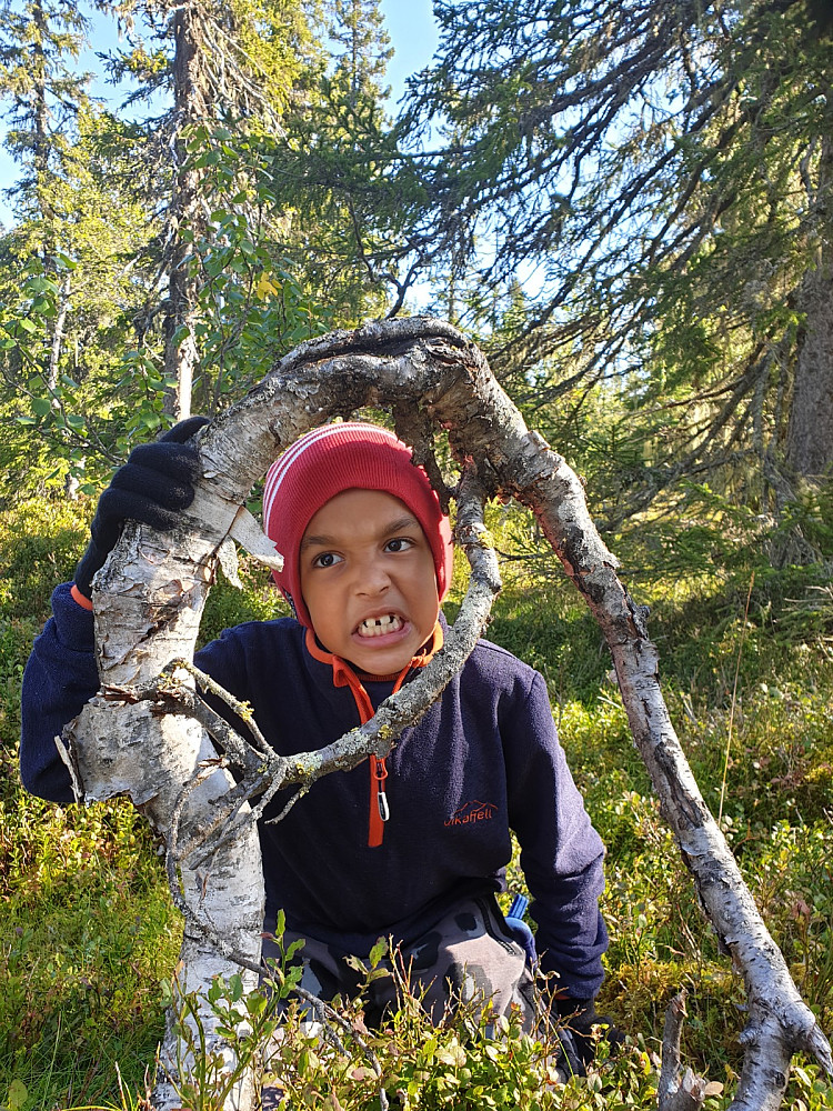 Skumle troll finnes også!