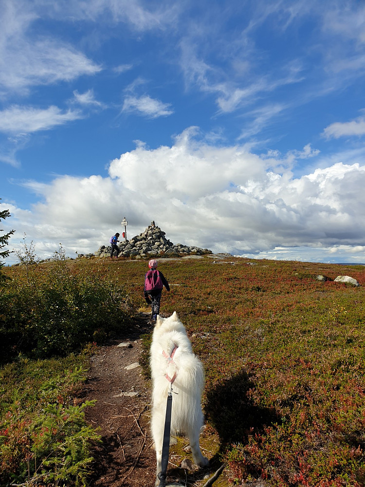 Endelig oppe på Engulvsfjellet!