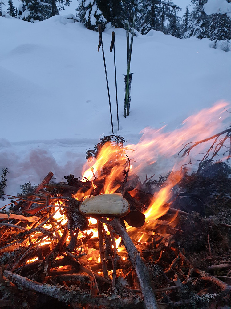 Obligatorisk grilling