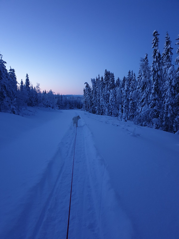 Fint å gå på beina i spora etter Team Amund Kokkvoll