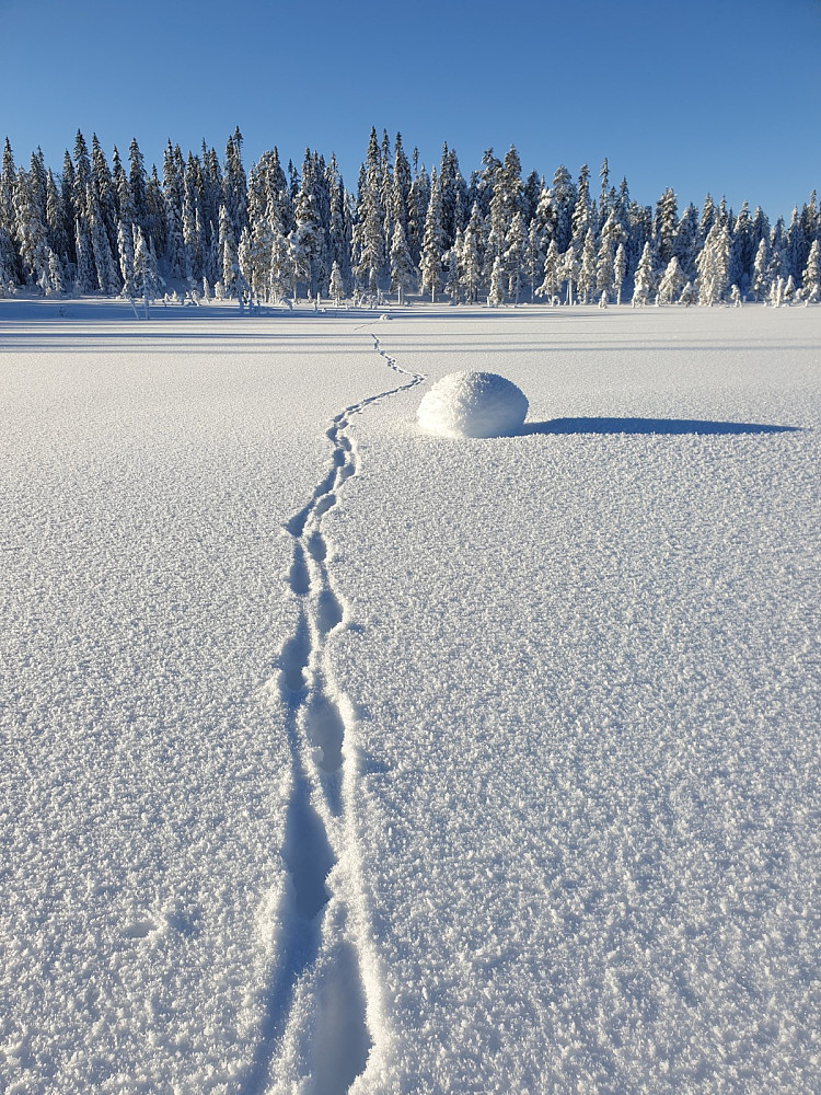 Reven har krysset Kløfttjernet