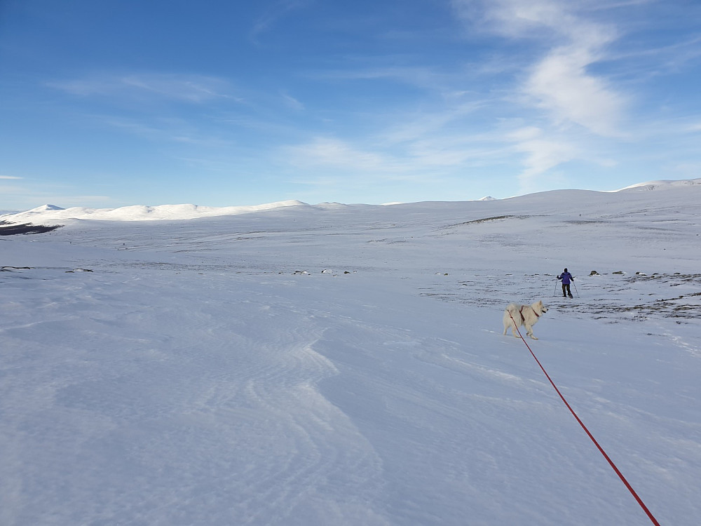 Fint i fjellet selv om det blåser godt!