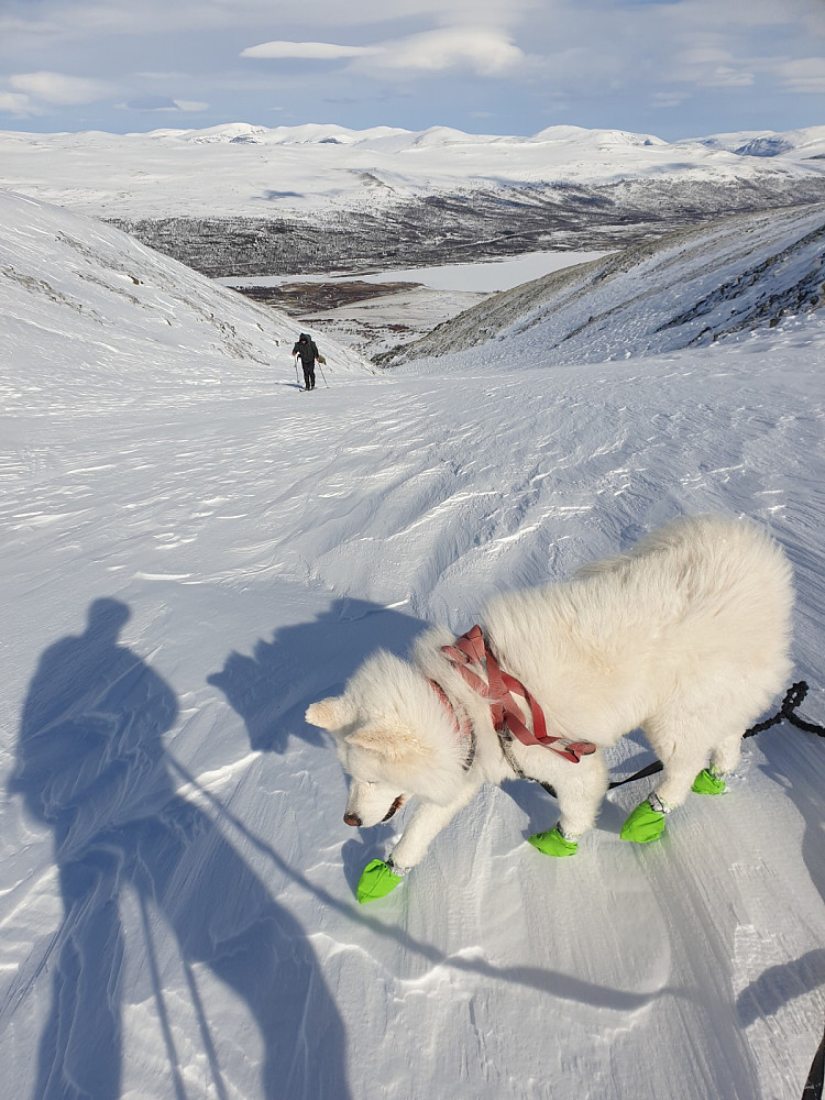 Avsjøen i bakgrunnen